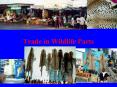 Trade in Wildlife Parts PowerPoint PPT Presentation