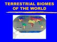 TERRESTRIAL BIOMES OF THE WORLD PowerPoint PPT Presentation