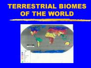 TERRESTRIAL BIOMES OF THE WORLD