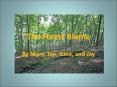 The Forest Biome PowerPoint PPT Presentation