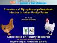 Directorate of Poultry Research PowerPoint PPT Presentation