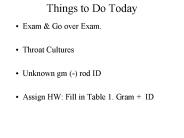 Things to Do Today