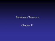 Membrane Transport