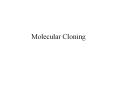 Molecular Cloning PowerPoint PPT Presentation