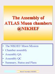 The NIKHEF Muon Mission