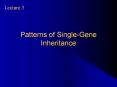 Patterns of Single-Gene Inheritance PowerPoint PPT Presentation