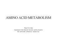 AMINO%20ACID%20METABOLISM