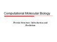 Computational Molecular Biology PowerPoint PPT Presentation