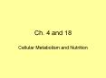 Ch. 4 and 18 PowerPoint PPT Presentation