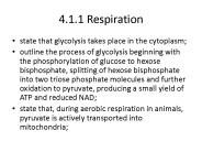 4.1.1 Respiration