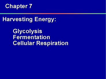 Harvesting Energy:  Glycolysis Fermentation Cellular Respiration