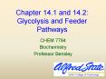 Chapter 14.1 and 14.2: Glycolysis and Feeder Pathways PowerPoint PPT Presentation