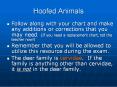 Hoofed Animals PowerPoint PPT Presentation