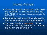 Hoofed Animals