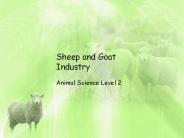Sheep%20and%20Goat%20Industry