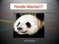 The Panda Bear Story PowerPoint PPT Presentation