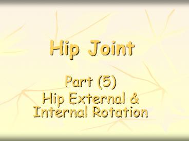 Hip Joint