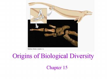 Origins of Biological Diversity