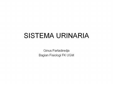 SISTEMA URINARIA