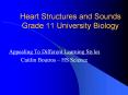 Heart Structures and Sounds Grade 11 University Biology PowerPoint PPT Presentation