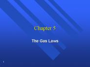 The Gas Laws