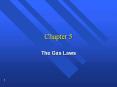 The Gas Laws PowerPoint PPT Presentation