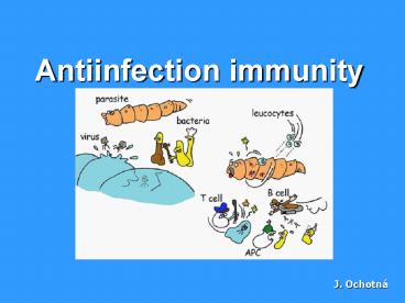 Antiinfection immunity