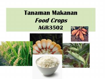 Tanaman Makanan Food Crops AGR3502