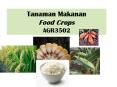 Tanaman Makanan Food Crops AGR3502 PowerPoint PPT Presentation