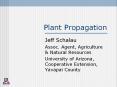 Plant Propagation PowerPoint PPT Presentation