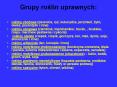Grupy%20roslin%20uprawnych: PowerPoint PPT Presentation