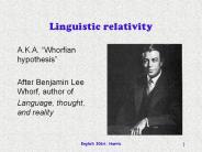 Linguistic relativity