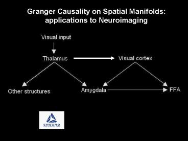 Granger Causality on Spatial Manifolds: applications to Neuroimaging