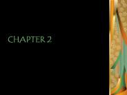 PATTERNS AND ITERATIONS