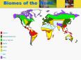 Biomes%20of%20the%20World PowerPoint PPT Presentation
