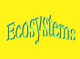 Ecosystems and Habitats PowerPoint PPT Presentation