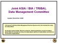 Joint ASIA / BIA / TRIBAL Data Management Committee PowerPoint PPT Presentation