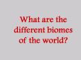 What are the different biomes of the world? PowerPoint PPT Presentation