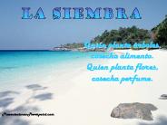 La siembra