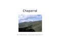 Chaparral PowerPoint PPT Presentation