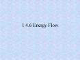 1.4.6 Energy Flow PowerPoint PPT Presentation