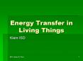 Energy Transfer in Living Things PowerPoint PPT Presentation