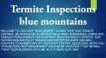 Termite Inspections Sydney PowerPoint PPT Presentation