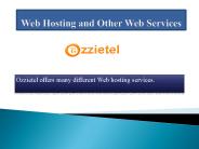 Web Hosting and Other Web Services