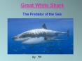 Great White Shark PowerPoint PPT Presentation