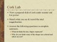 Cork Lab PowerPoint PPT Presentation