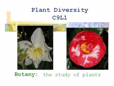 Plant%20Diversity%20C9L1