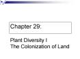 Chapter 29: Plant Diversity I The Colonization of Land PowerPoint PPT Presentation
