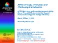 APEC Energy Overview and Workshop Introduction APEC Workshop on Recent Advances in Utility Based Financial Mechanisms that Support Renewable Energy and Energy Efficiency March 30-Aprl 1, 2009 Honolulu, Hawaii USA PowerPoint PPT Presentation
