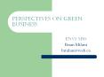 Perspectives on Green Business PowerPoint PPT Presentation